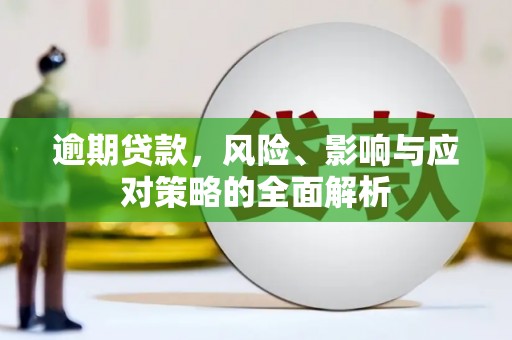 汕尾逾期贷款，风险、影响与应对策略的全面解析