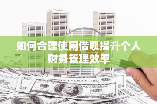 汕尾如何合理使用借呗提升个人财务管理效率