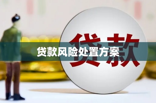 汕尾贷款风险处置方案