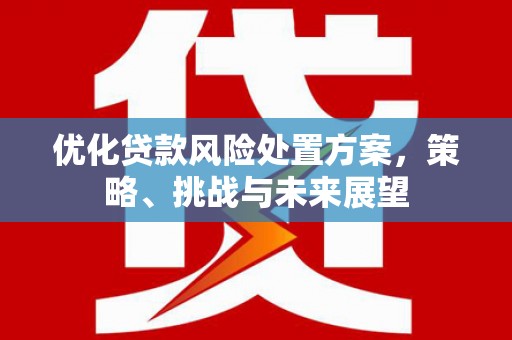 汕尾优化贷款风险处置方案，策略、挑战与未来展望