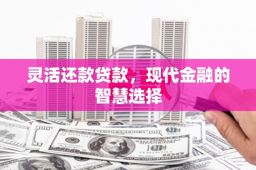汕尾灵活还款贷款，现代金融的智慧选择