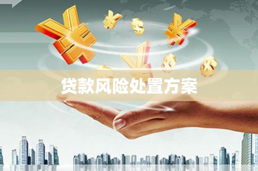 汕尾贷款风险处置方案