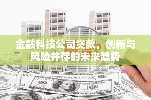 汕尾金融科技公司贷款，创新与风险并存的未来趋势