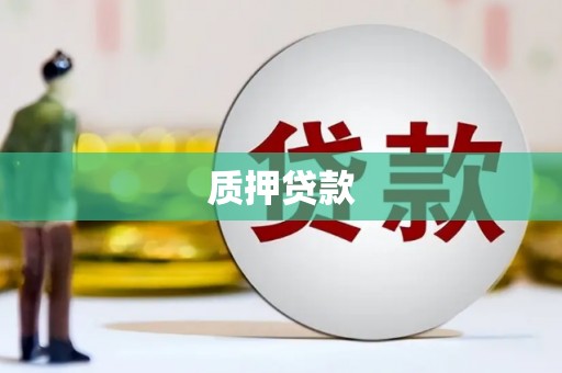 汕尾质押贷款