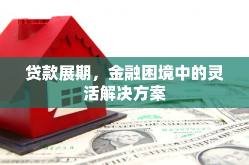 汕尾贷款展期，金融困境中的灵活解决方案