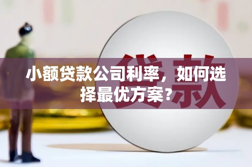 汕尾小额贷款公司利率，如何选择最优方案？
