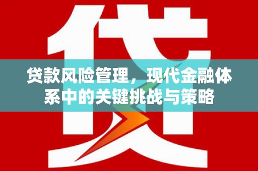 汕尾贷款风险管理，现代金融体系中的关键挑战与策略