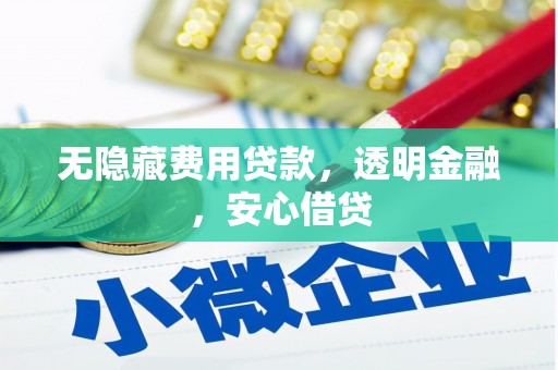 汕尾无隐藏费用贷款，透明金融，安心借贷