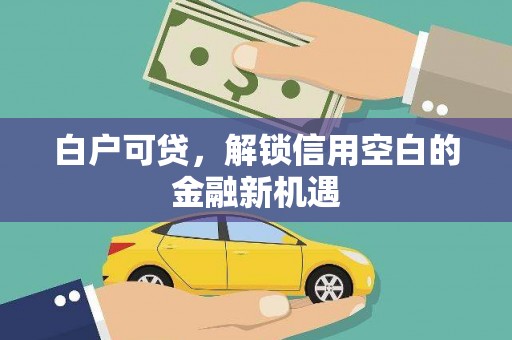 汕尾白户可贷，解锁信用空白的金融新机遇