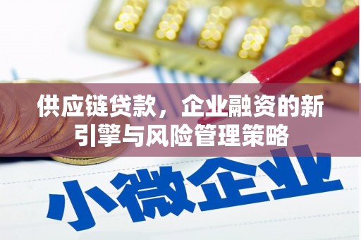 汕尾供应链贷款，企业融资的新引擎与风险管理策略