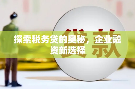 汕尾探索税务贷的奥秘，企业融资新选择