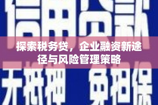 汕尾探索税务贷，企业融资新途径与风险管理策略