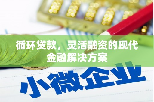 汕尾循环贷款，灵活融资的现代金融解决方案