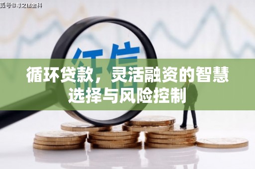 汕尾循环贷款，灵活融资的智慧选择与风险控制