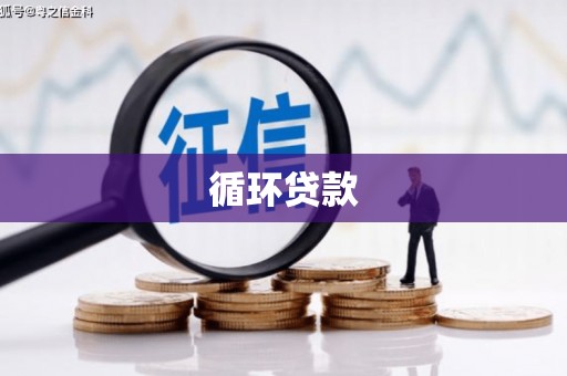 汕尾循环贷款