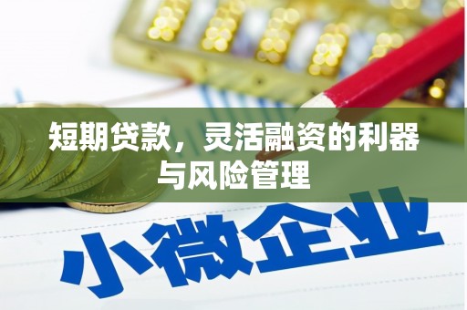 汕尾短期贷款，灵活融资的利器与风险管理