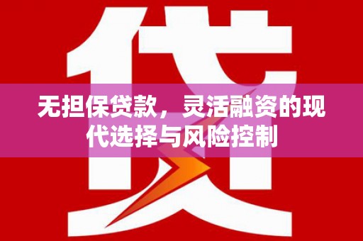 汕尾无担保贷款，灵活融资的现代选择与风险控制