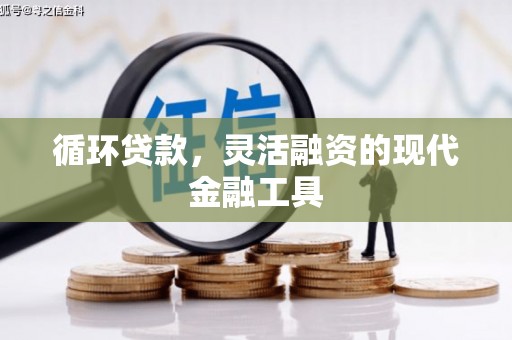 汕尾循环贷款，灵活融资的现代金融工具