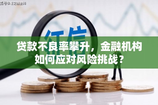 汕尾贷款不良率攀升，金融机构如何应对风险挑战？