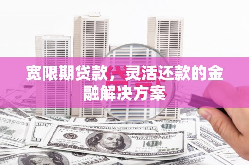 汕尾宽限期贷款，灵活还款的金融解决方案
