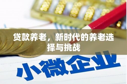 汕尾贷款养老，新时代的养老选择与挑战