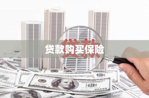 汕尾贷款购买保险