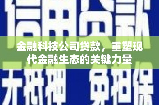 汕尾金融科技公司贷款，重塑现代金融生态的关键力量