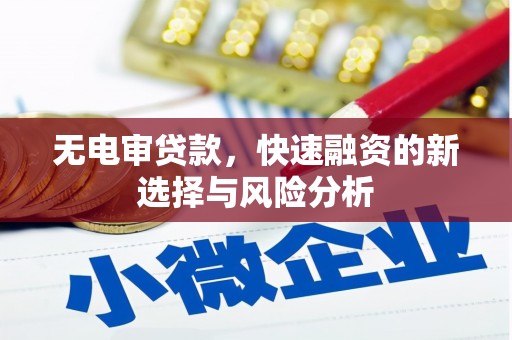 汕尾无电审贷款，快速融资的新选择与风险分析