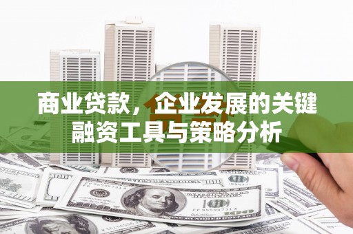 汕尾商业贷款，企业发展的关键融资工具与策略分析