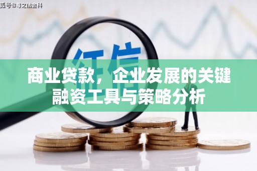 汕尾商业贷款，企业发展的关键融资工具与策略分析