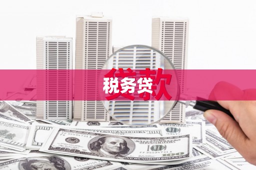 汕尾税务贷