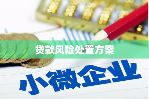 汕尾贷款风险处置方案