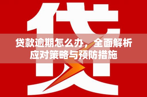 汕尾贷款逾期怎么办，全面解析应对策略与预防措施