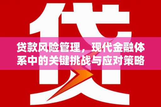 汕尾贷款风险管理，现代金融体系中的关键挑战与应对策略