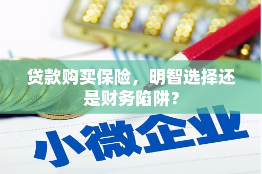 汕尾贷款购买保险，明智选择还是财务陷阱？