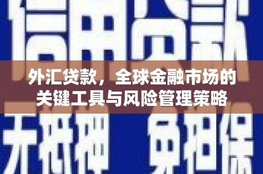 汕尾外汇贷款，全球金融市场的关键工具与风险管理策略