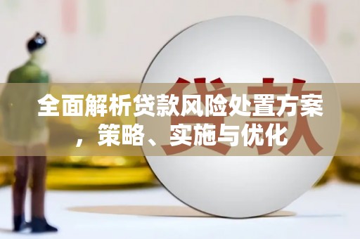汕尾全面解析贷款风险处置方案，策略、实施与优化