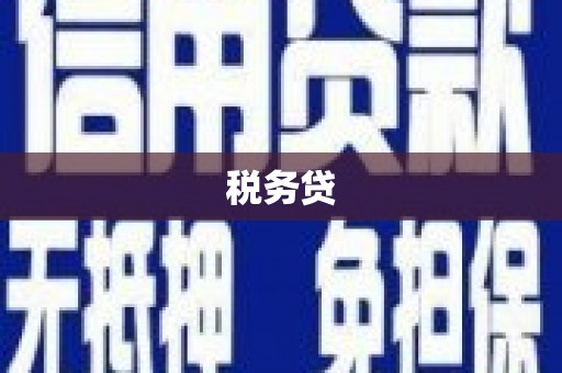 汕尾税务贷
