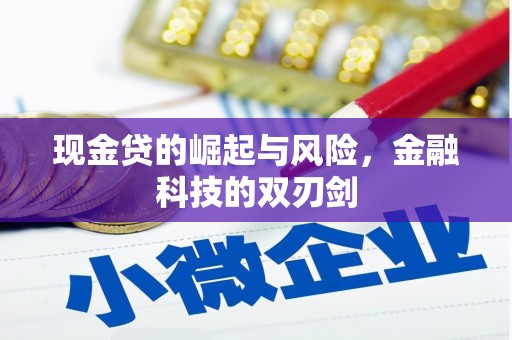 汕尾现金贷的崛起与风险，金融科技的双刃剑