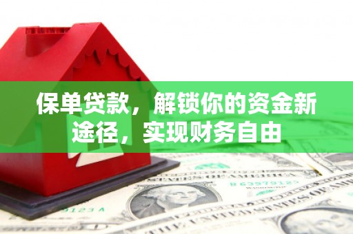 汕尾保单贷款，解锁你的资金新途径，实现财务自由