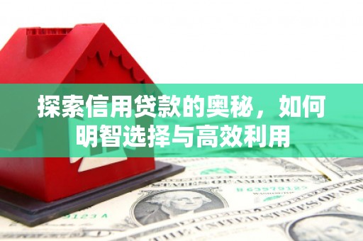 汕尾探索信用贷款的奥秘，如何明智选择与高效利用