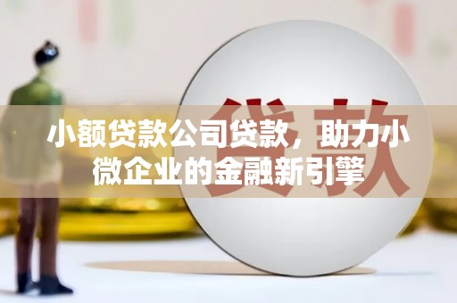 汕尾小额贷款公司贷款，助力小微企业的金融新引擎
