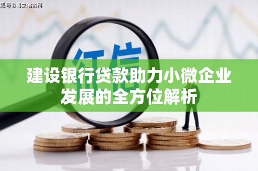 汕尾建设银行贷款助力小微企业发展的全方位解析