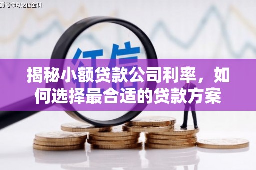 汕尾揭秘小额贷款公司利率，如何选择最合适的贷款方案