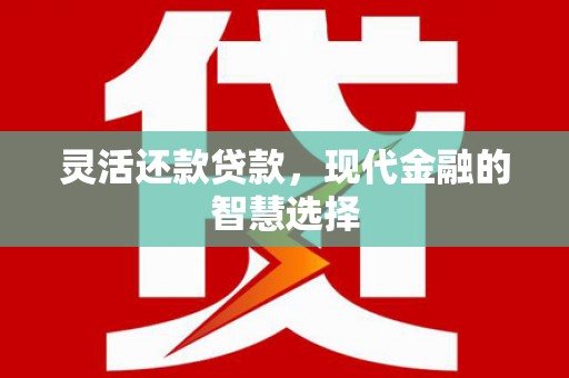汕尾灵活还款贷款，现代金融的智慧选择