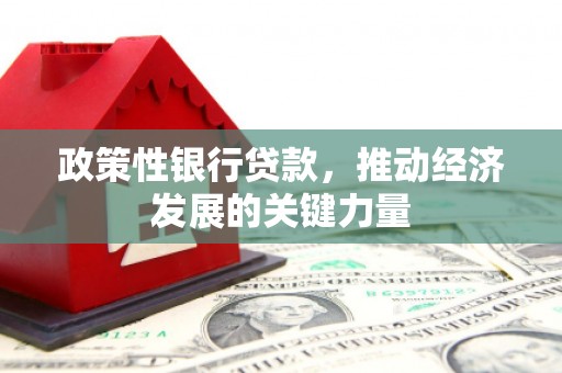 汕尾政策性银行贷款，推动经济发展的关键力量