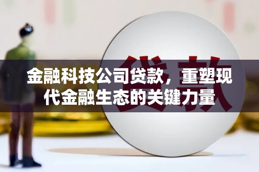 汕尾金融科技公司贷款，重塑现代金融生态的关键力量