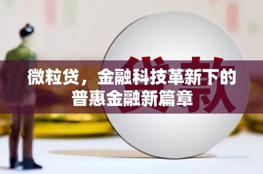 汕尾微粒贷，金融科技革新下的普惠金融新篇章
