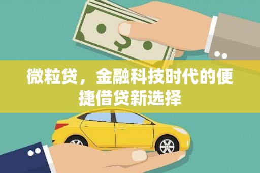 汕尾微粒贷，金融科技时代的便捷借贷新选择