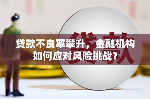 汕尾贷款不良率攀升，金融机构如何应对风险挑战？